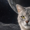 En la cara oculta de la luna hay vida